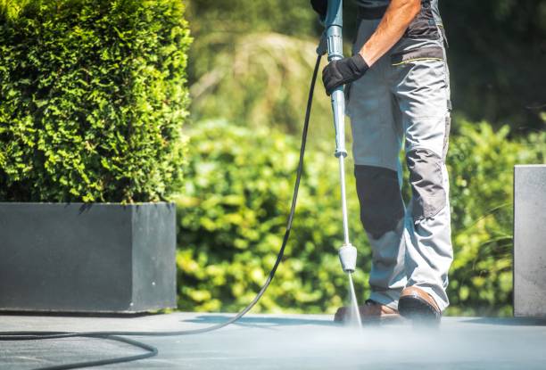 Best Solar Panel Cleaning  in De Leon, TX