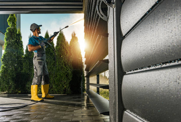 Animal Enclosure Cleaning in De Leon, TX